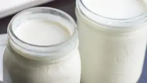 ergo ethiopian yogurt recipe
